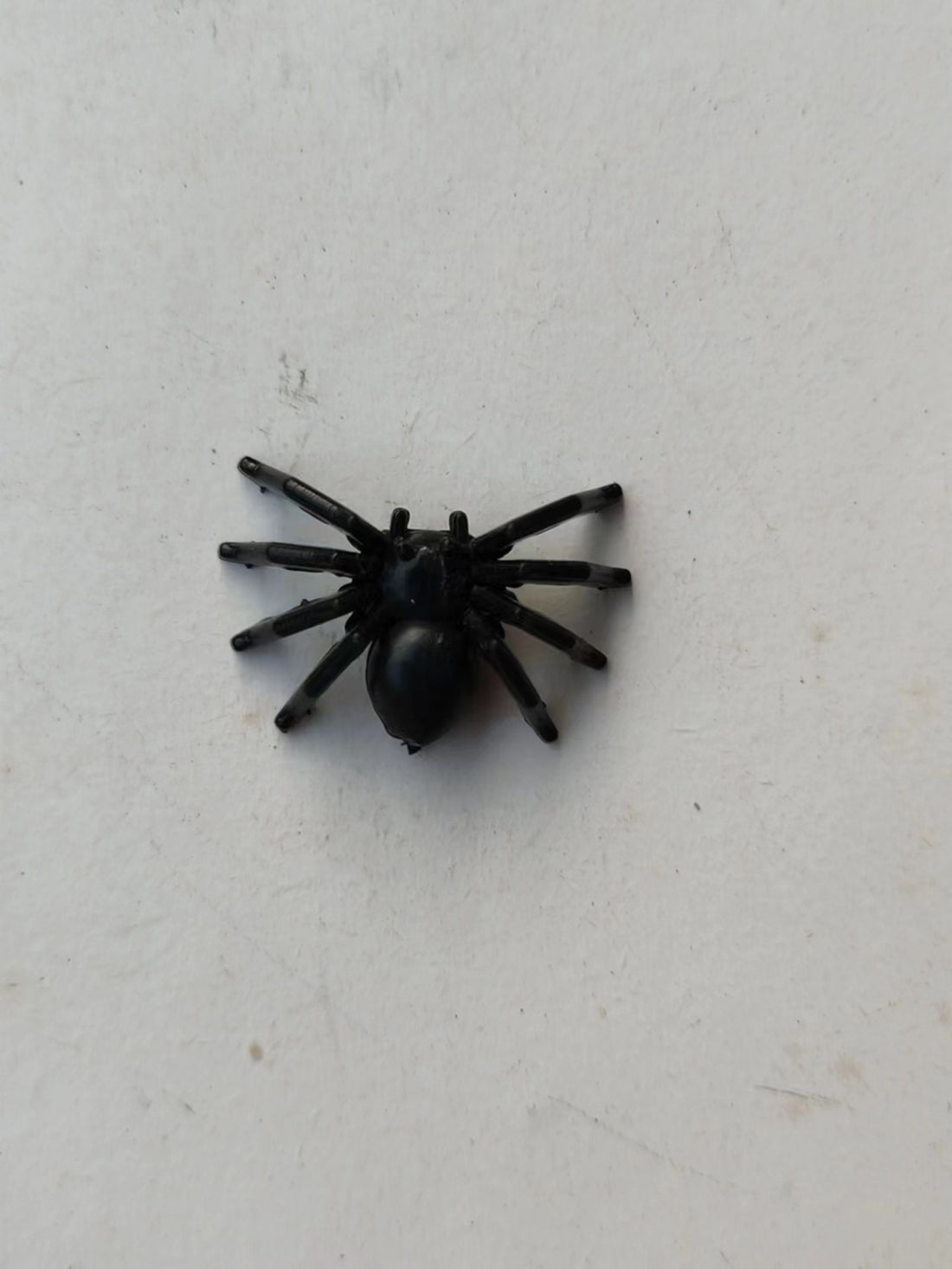 Realistic Simulation Spider Toy