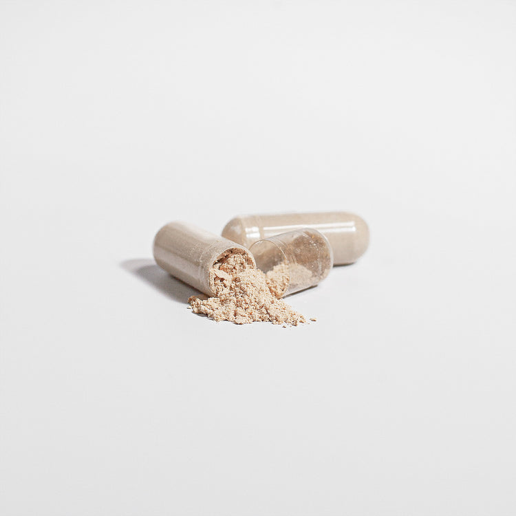 Lions mane capsules supplement bottle for daily cognitive support