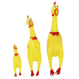 Screaming chicken pet toy