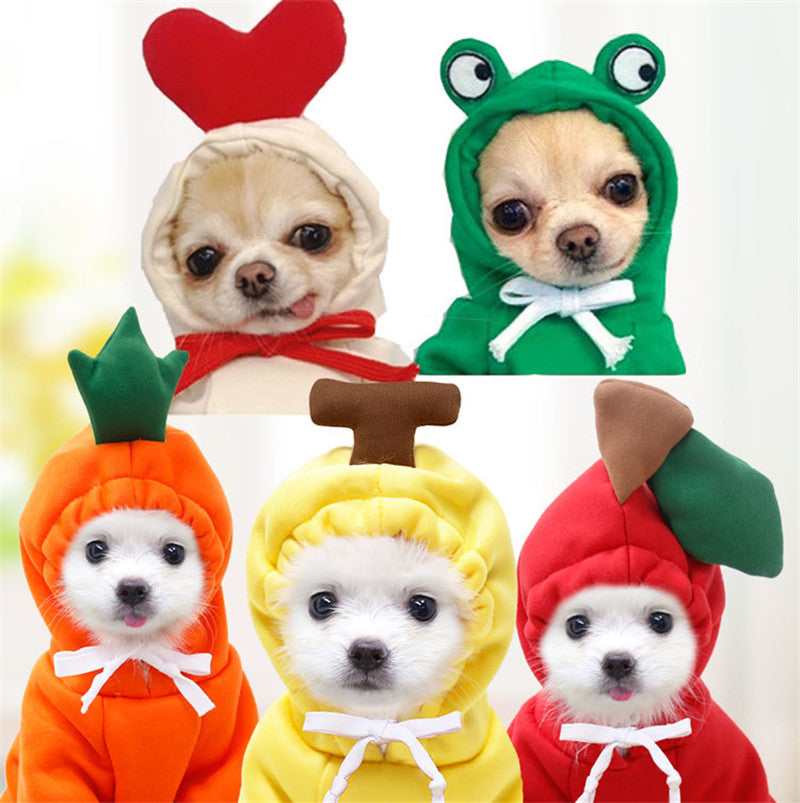 Small dogs wearing heart, frog, carrot, banana and apple hoodies