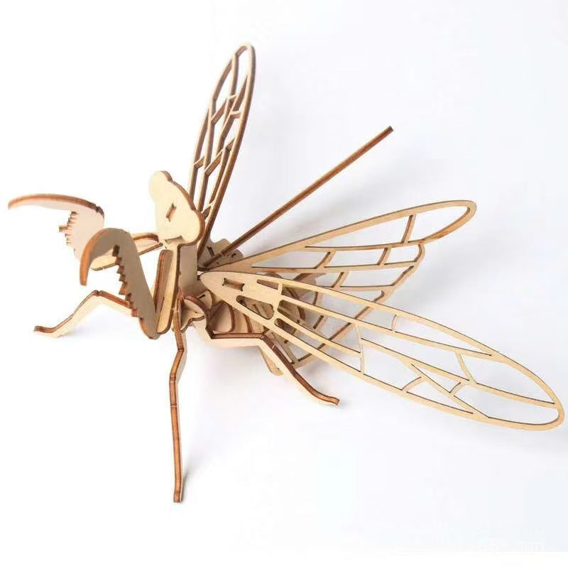 Wooden Insect 3D Puzzle Toy product image 4