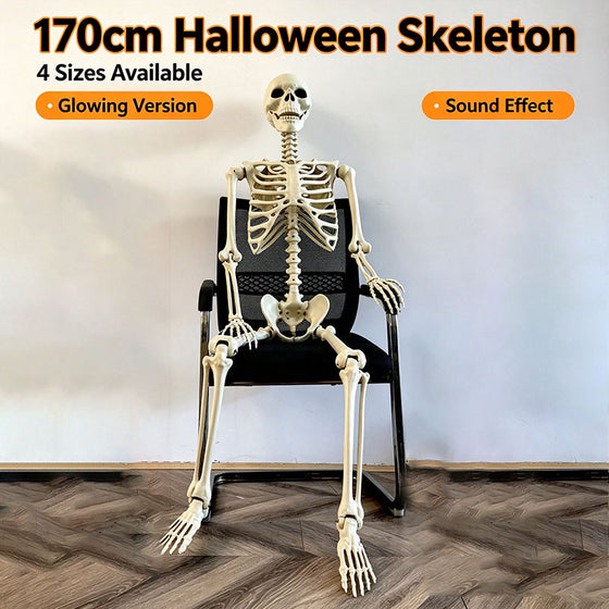 Halloween Skeleton Skeleton