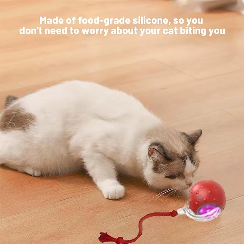 Tiny Fetch Ball Dog Electric Ball Tinyfetch Interactive Automatic Rolling Dog Cat Balls Emulate Birdsong Chewy Silicone Material