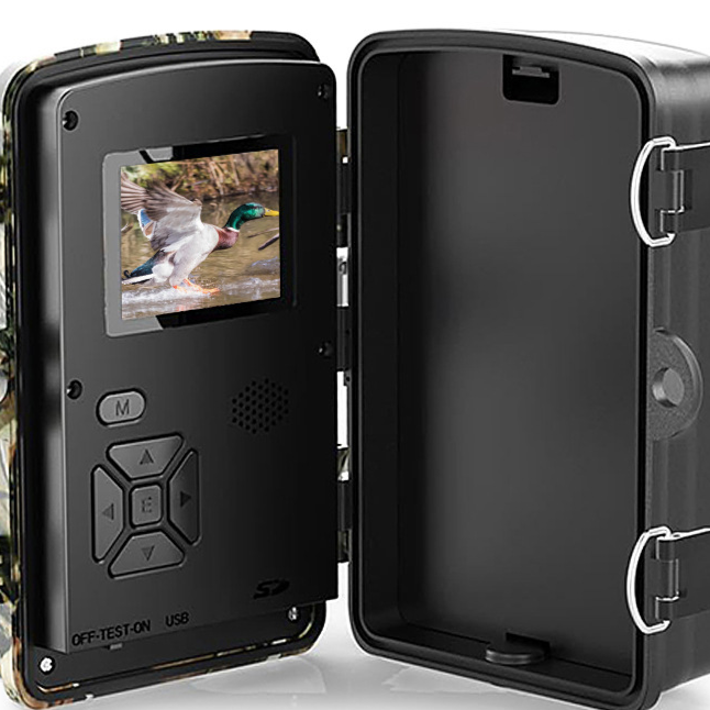 HD Wildlife Tracking Camera with Night Vision