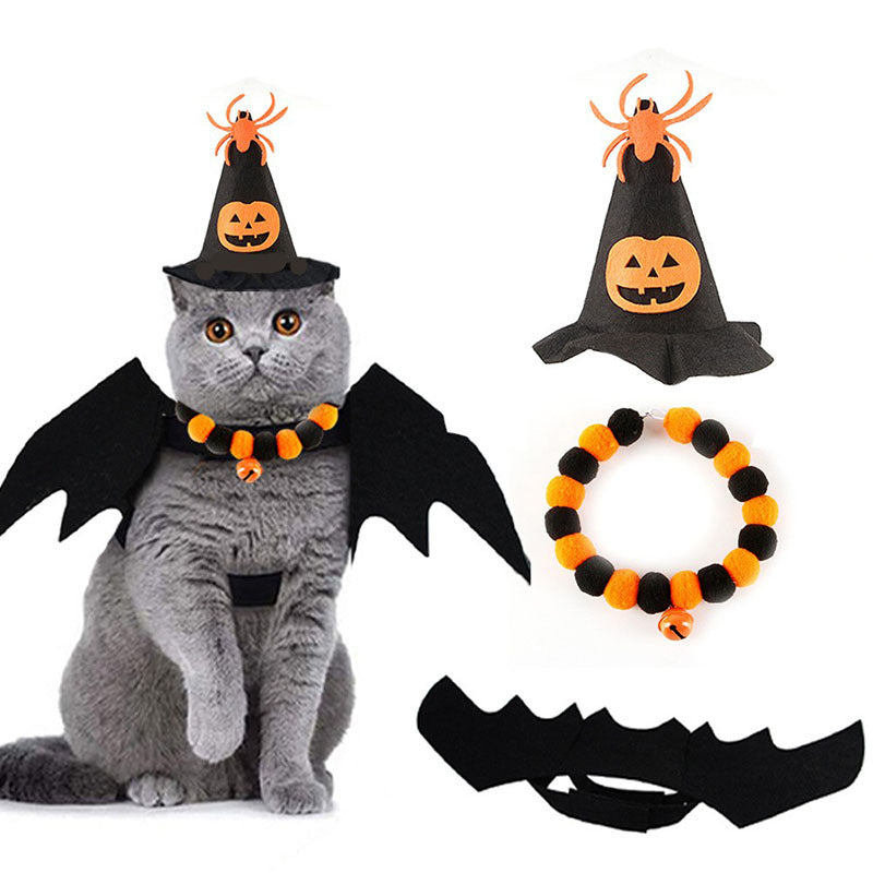 Halloween Cat and Dog Costume