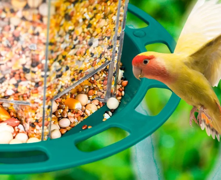 Automatic Bird Feeder - Image 6