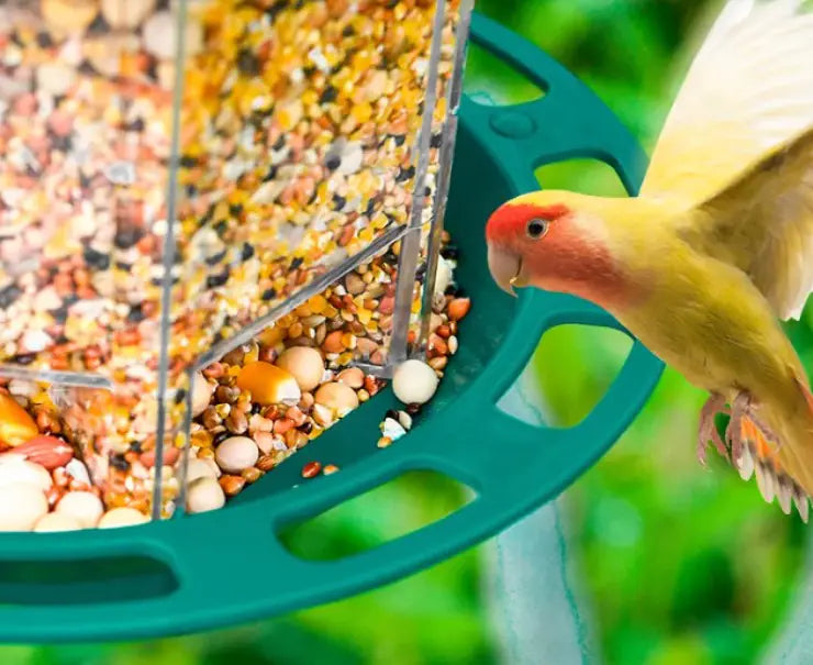 Automatic bird feeder