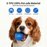 Remote Control Waterproof Dog Toy Ball