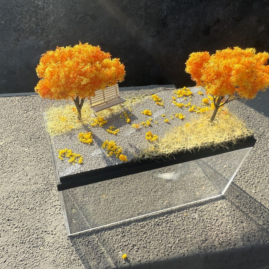 Autumn Scene Display Box Model
