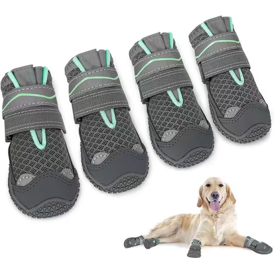 Four gray dog boots with teal reflective trim and a golden retriever