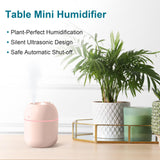 Mini humidifier emitting cool mist beside a laptop