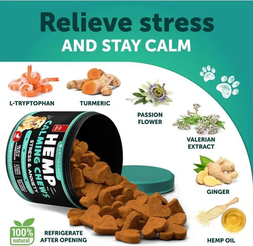 Hemp Calming Chews for Dogs Anxiety and Joint Support