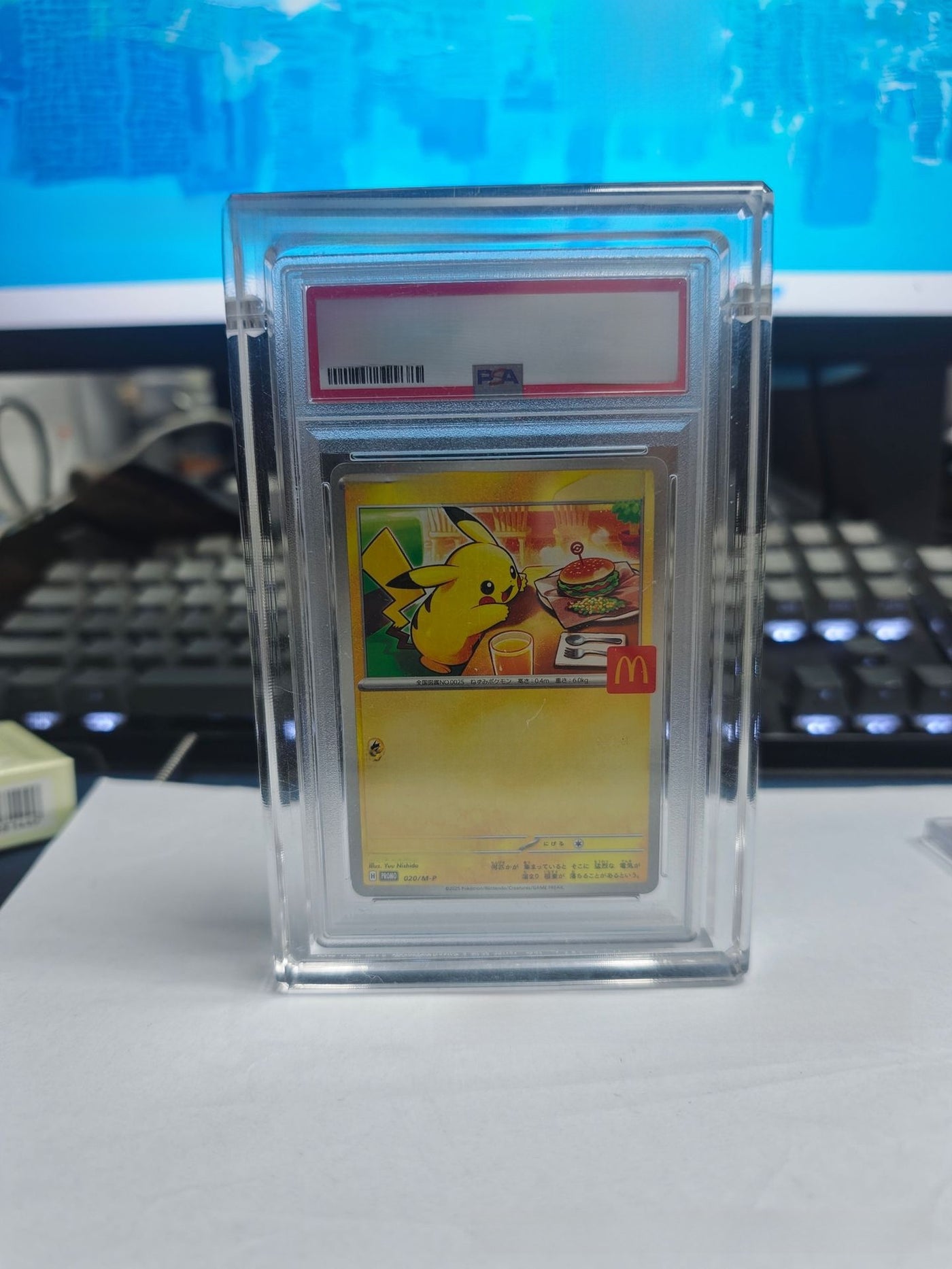 Acrylic  Card Display Box for Psa/Cgc Graded Cards Storage