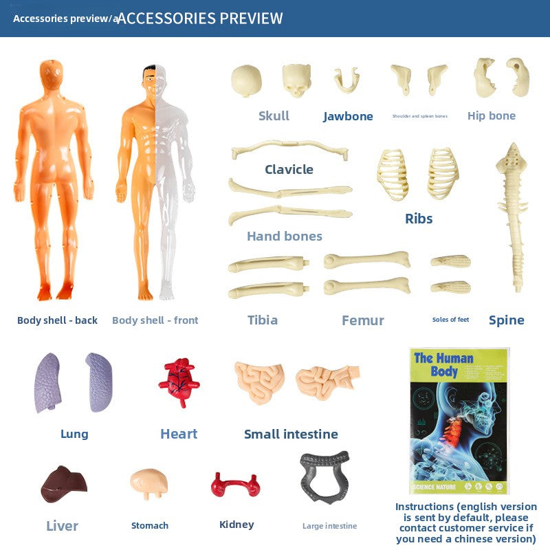 Human figure model children's toy product image 2