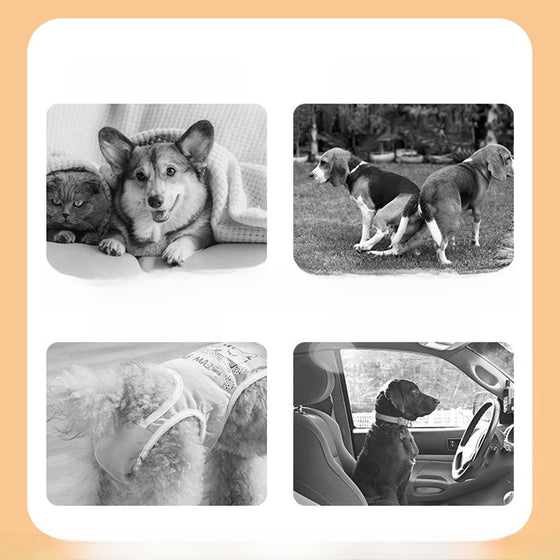 Pet Dog Menstrual Hygiene Underwear product image 1
