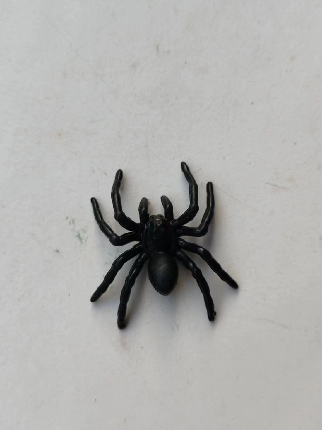 Realistic Simulation Spider Toy
