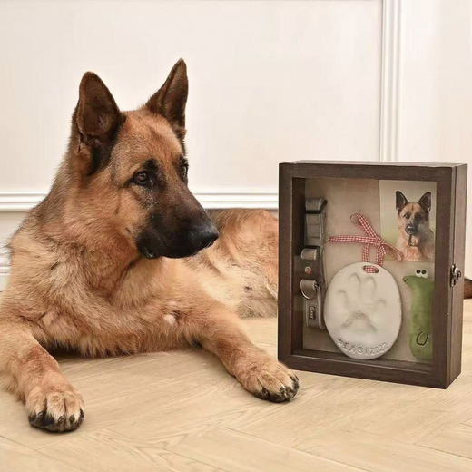Wooden pet photo frame product image 3