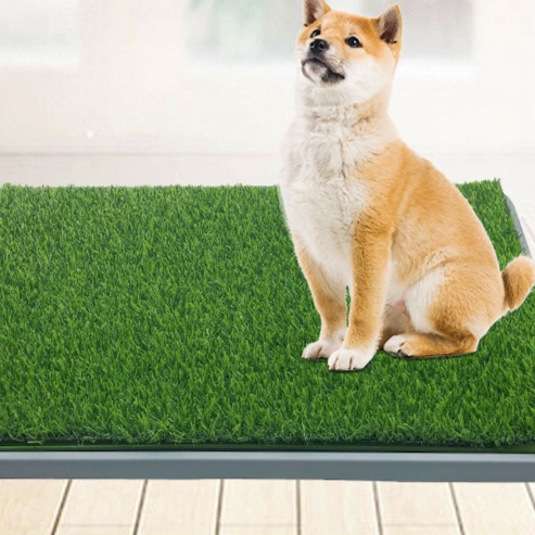 Dog toilet tray