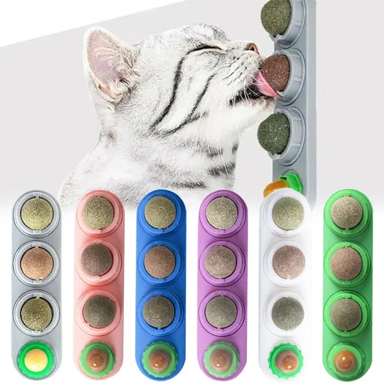 Cat licking a wall-mounted catnip ball toy, with six holder colors below