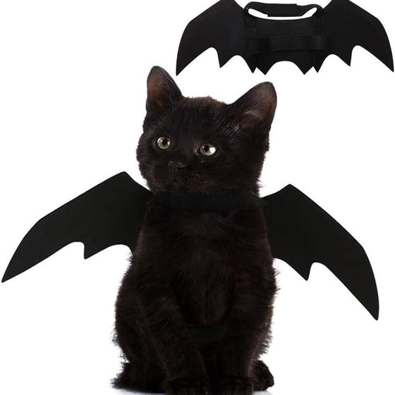 Pet Bat Wing Halloween Costume