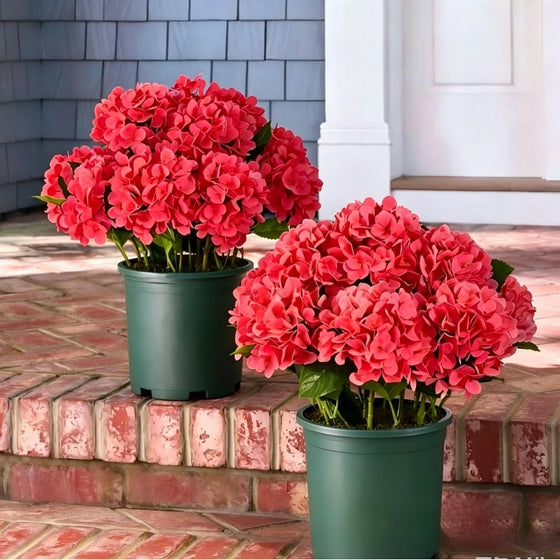 Outdoor Hydrangea Flowers Decor product image 1