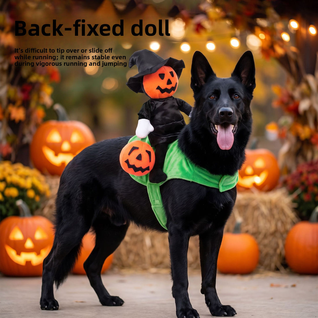Halloween Pumpkin Knight Pet Costume