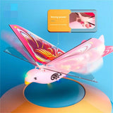 Electric Simulation Luban Flying Bird 360 Degree Spinning Flapping Wing Glowing Toy