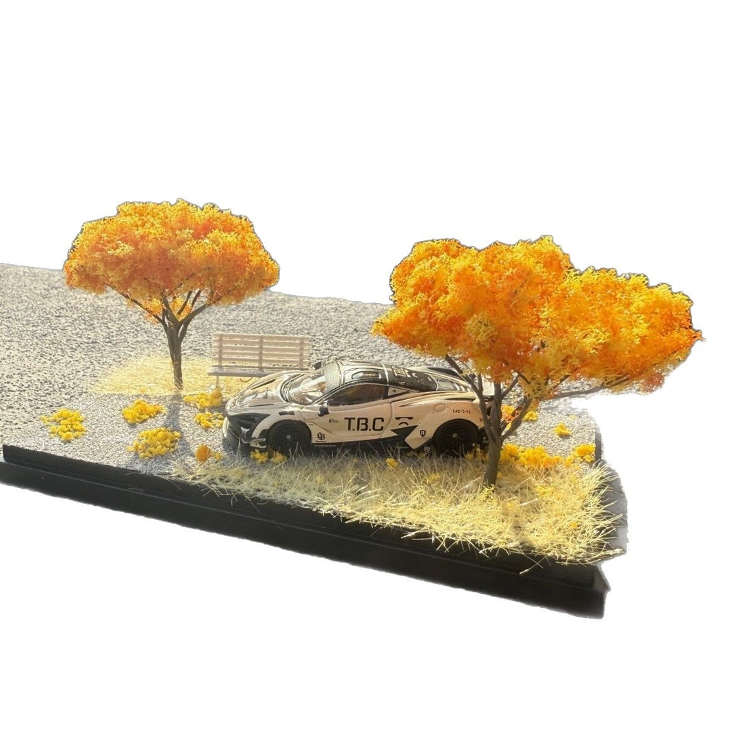 Autumn Scene Display Box Model