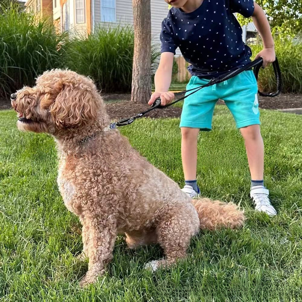 Multi-Purpose Large Dog Leash