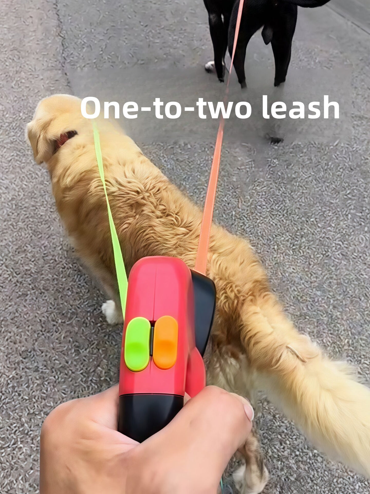 Retractable Dog Leash