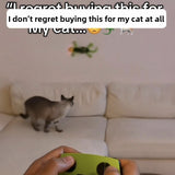 Electric Remote-Controlled Climbing Lizard Toy