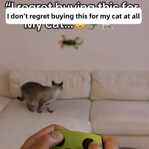 Electric Remote-Controlled Climbing Lizard Toy