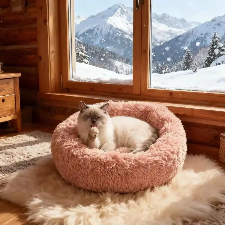 CloudNest pet bed light green color option