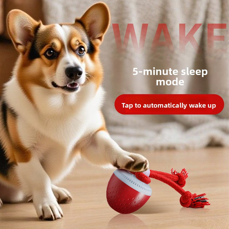 Interactive Rechargeable Dog Toy Ball