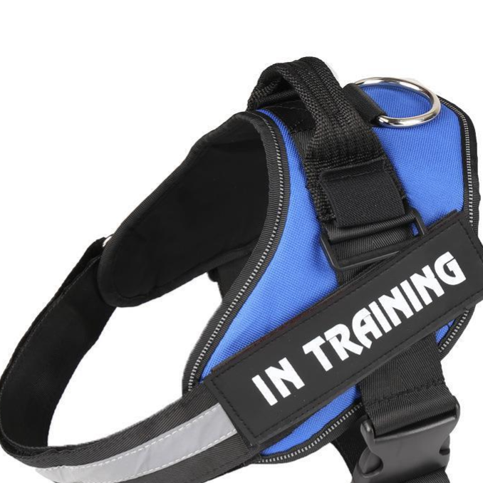 Pet chest and back reflective strip