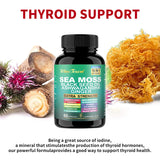 Sea Moss Shilajit Herbal Capsules product image 3