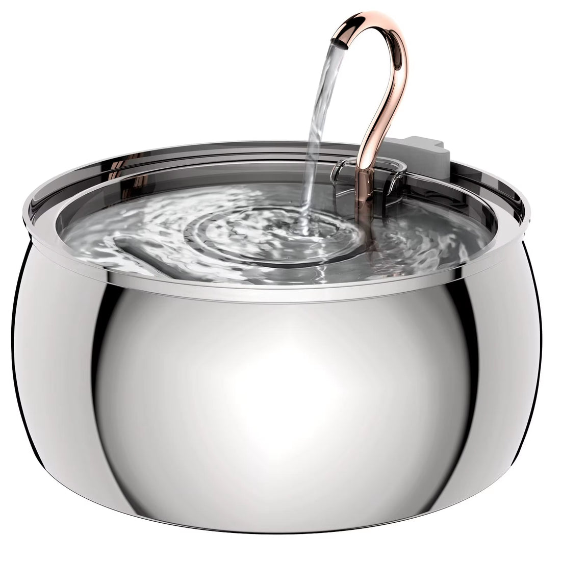 AquaPure stainless steel pet water fountain with 4L reservoir