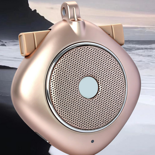 Dual Microphone Translator Offline Multi Language Translation Device