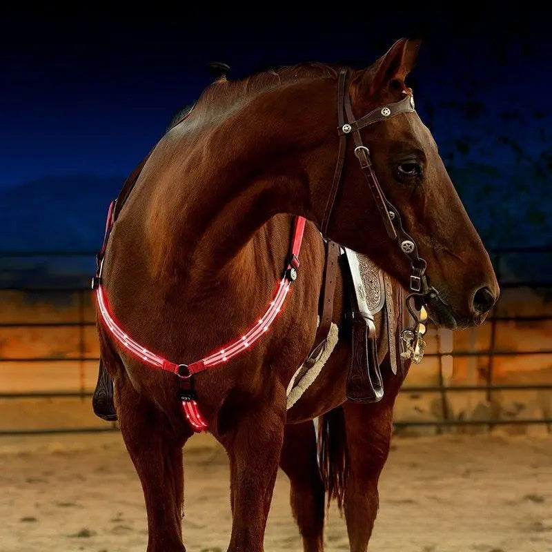 LED Light Up Adjustable Horse Chest Strap Rechargeable Nylon Safety Equestrian Gear with Flashing Modes
