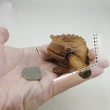 Decorative creative toys