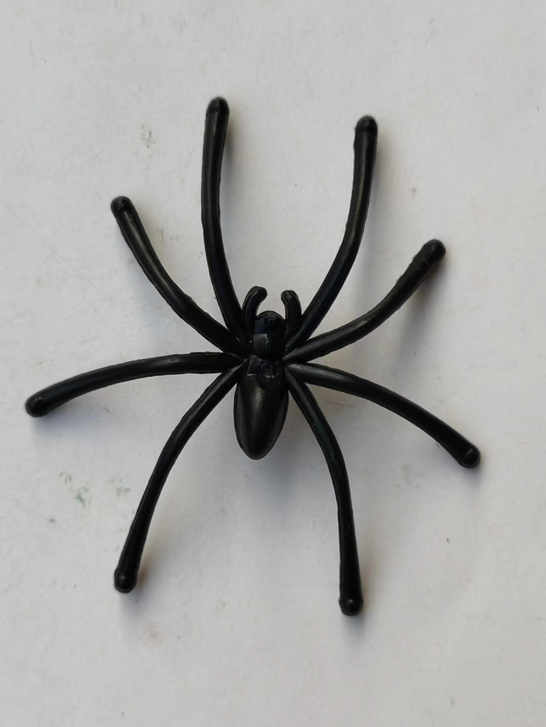 Realistic Simulation Spider Toy