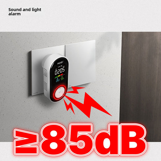 CO Smoke Gas Detector