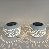 Solar Powered Outdoor Garden Light