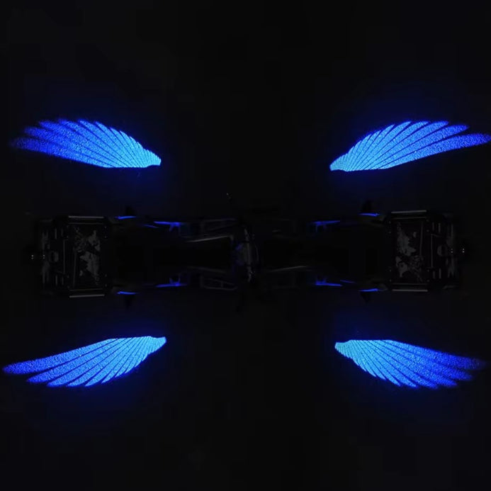Universal Angel Wings Projection Light for Electric Vehicle Motorcycle Car Door Chassis Welcome Lamp