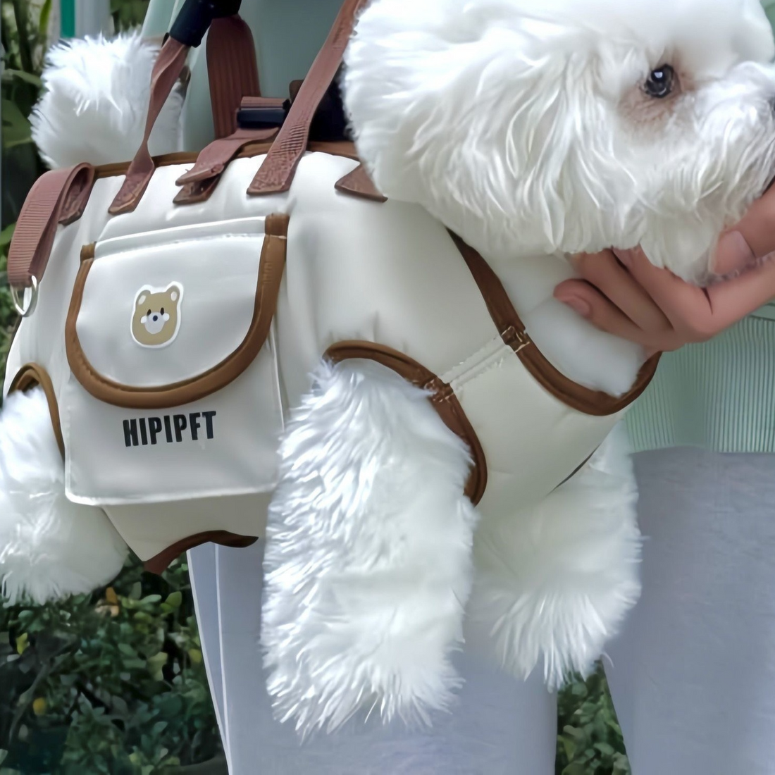 Breathable Oxford pet carrier backpack for cats and dogs, photo 1