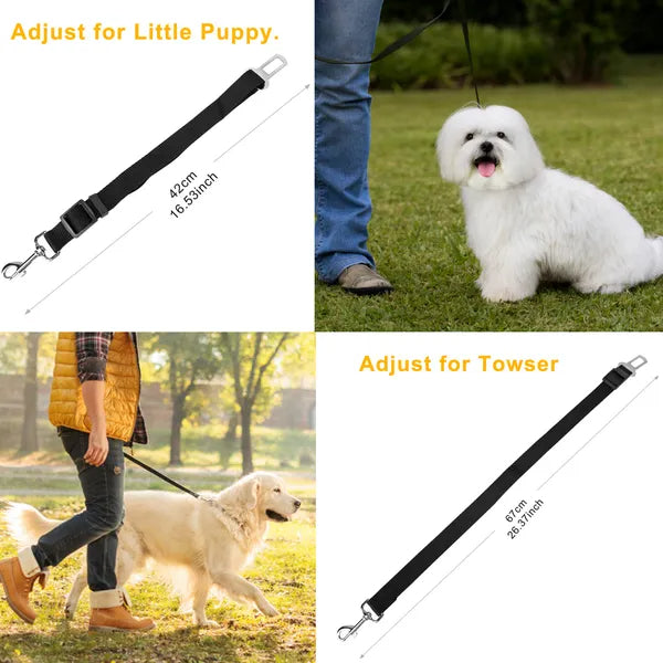 Seat belt leash lengths shown with dogs on walks