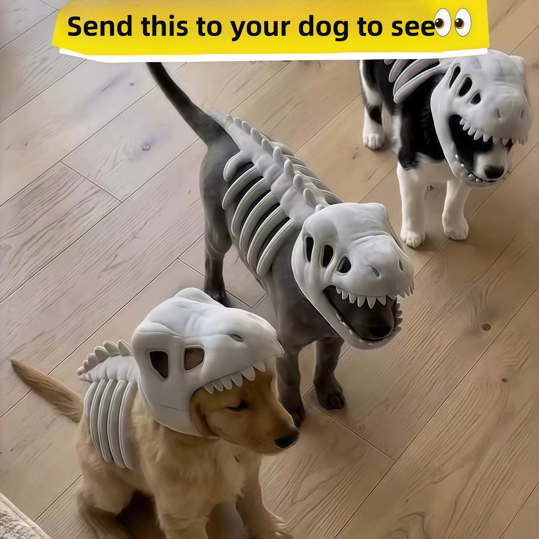 Dinosaur Skeleton Plush Costume