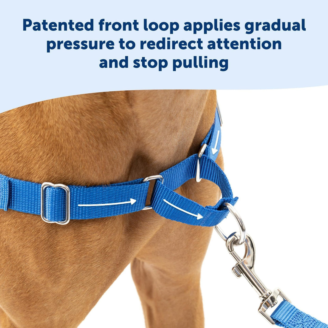 Adjustable nylon no-pull vest harness for dogs, photo 3