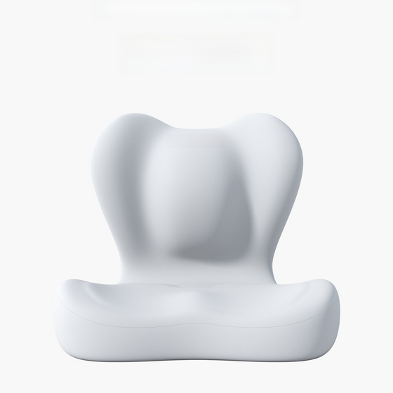 Lumbar Support Seat Cushion and Backrest in 4 Colors, image 1 of 10