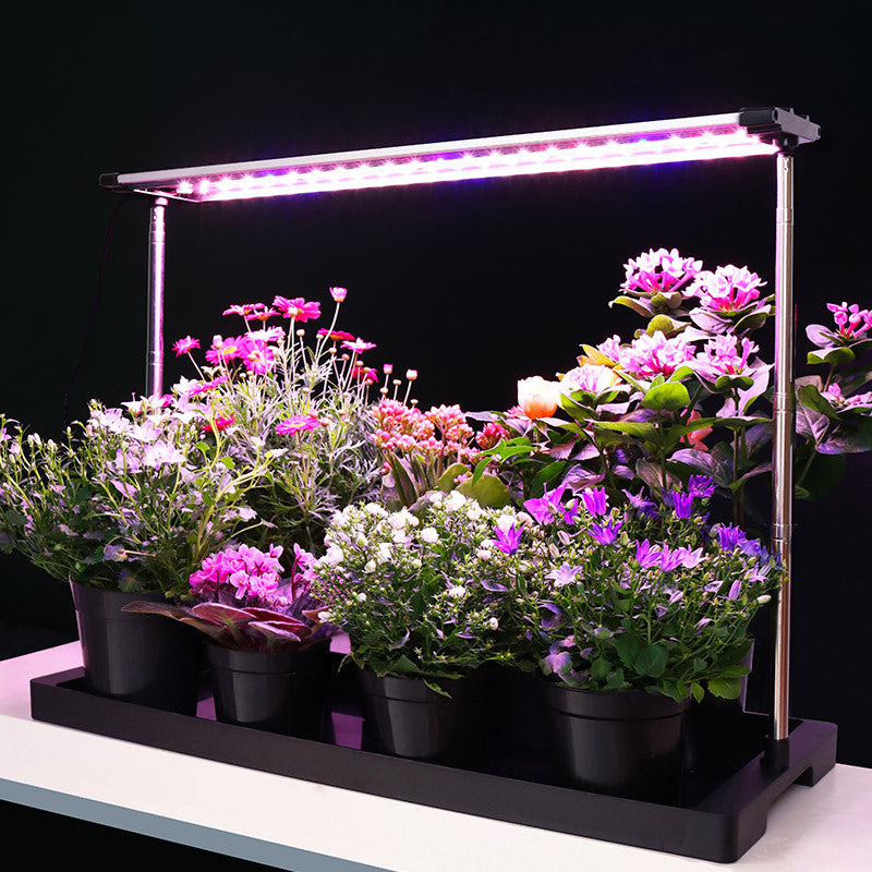 LED Specialized Greenhouse for Succulent Plants and Flowers for Indoor Use